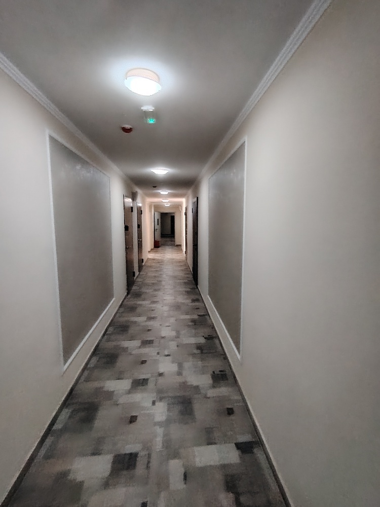 1-к. квартира 47.2 кв.м, 2/4