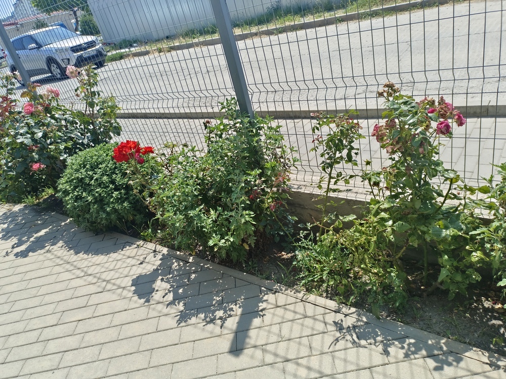 Студия 27.4 кв.м, 5/20
