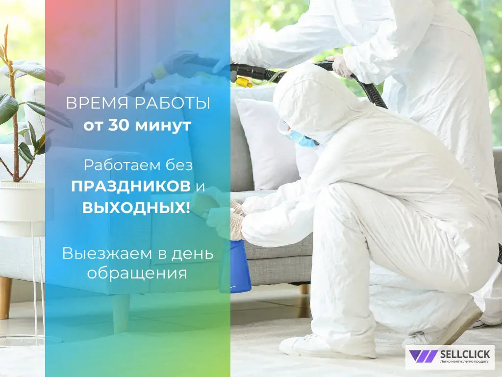 Дезинсекция дезинфекция дератизация уничтожение клопов тараканов клещей блох мух комаров мышей крыс кротов плесени грибка запахов борщевика