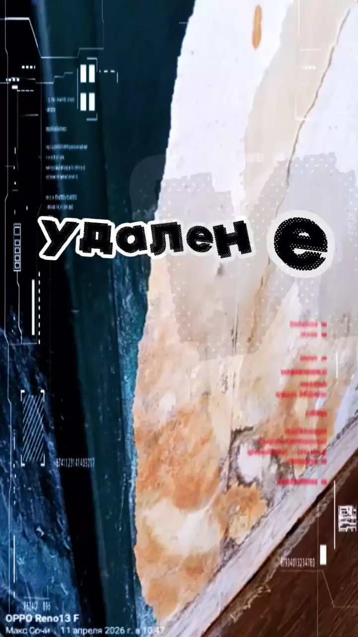 уничтожение тараканов клопов блох озонация плесинь клининг