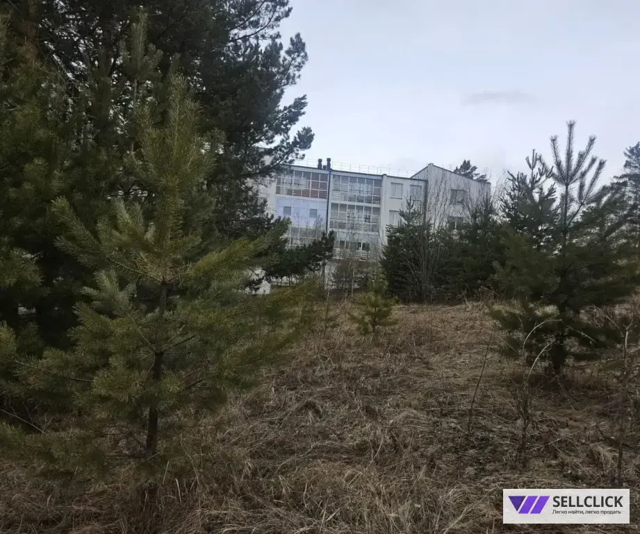 Поселения (ИЖС) 13 сот., Собственник
