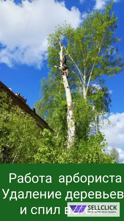 Команда грузчиков и водителей Чип и Дейл ✊