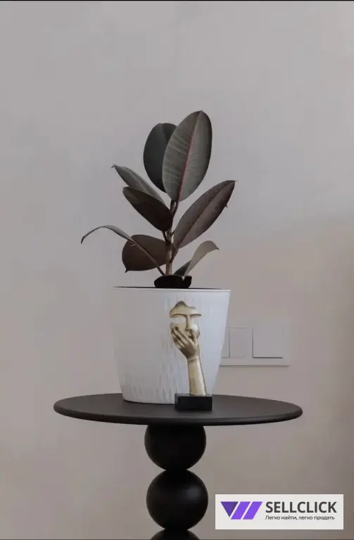 Квартира 2 комнаты, 81 м², 3/4 эт., Агент