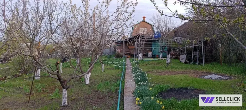 Сельхоз (СНТ или ДНП) 5 сот., Агент