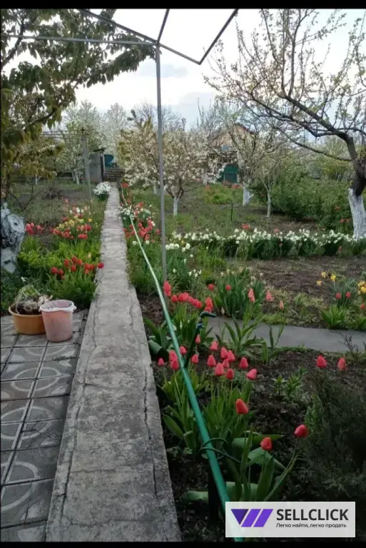 Сельхоз (СНТ или ДНП) 5 сот., Агент