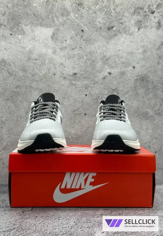 Кроссовки Nike air zoom Pegasus 39