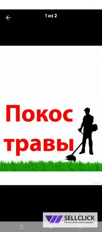 покос травы спил деревьев
