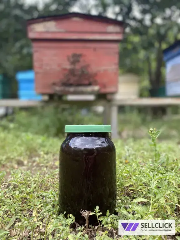Мёд горный со своей пасеки