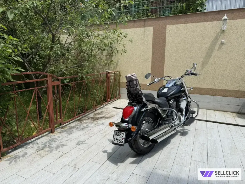 Suzuki VL800 Classic