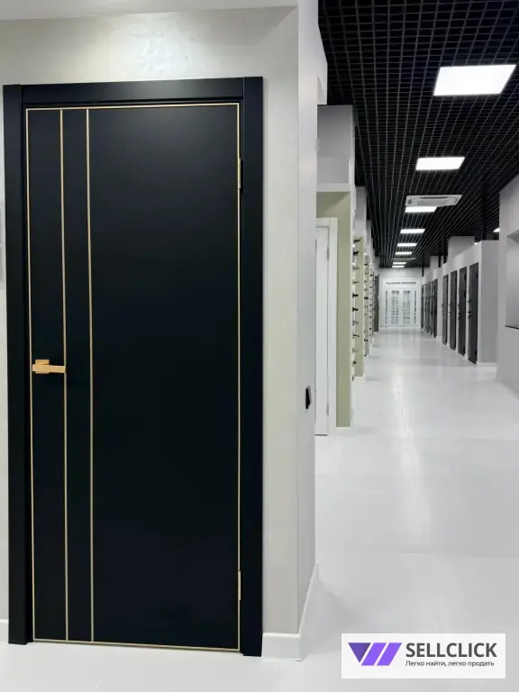Дверь межкомнатная TR02 Титан кромка шампань