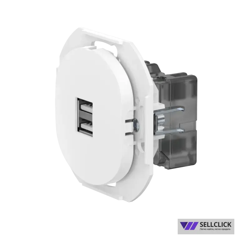 Розетка скрытой установки CADUCEUS ALING EON USB тип A для зарядки устройств, двойная, 2,1А, 5В=, 250В~, механизм