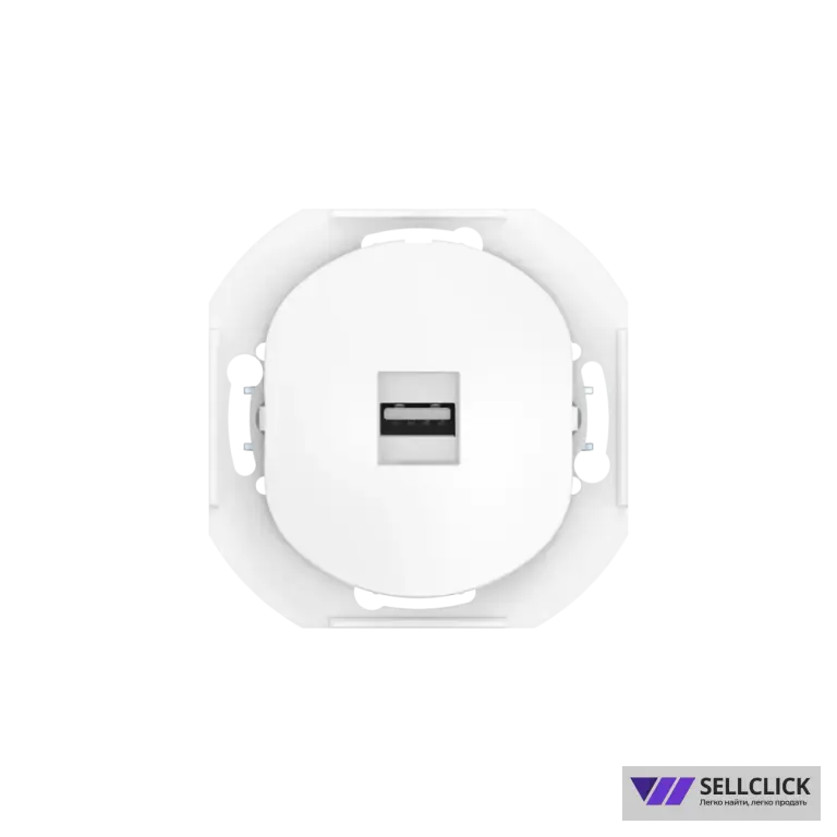 Розетка скрытой установки CADUCEUS ALING EON с модулем Keystone USB 2.0 тип A-A, механизм