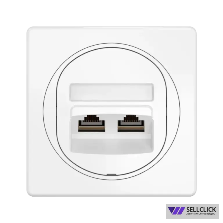 Розетка скрытой установки двойная компьютерная CADUCEUS ALING EON с модулями Keystone RJ45 8P8C, cat.6, FTP
