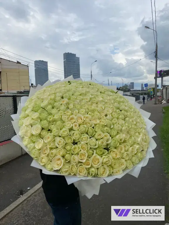 Розы