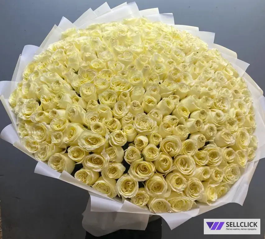 Розы