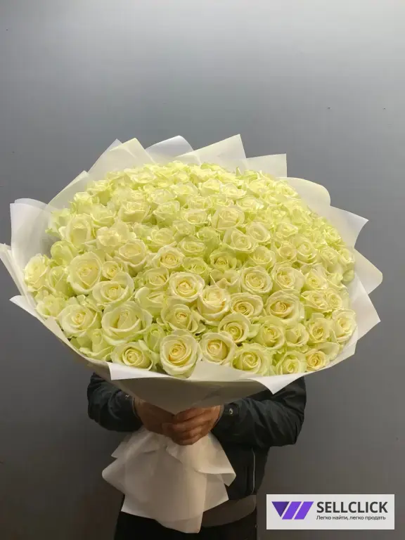 Розы