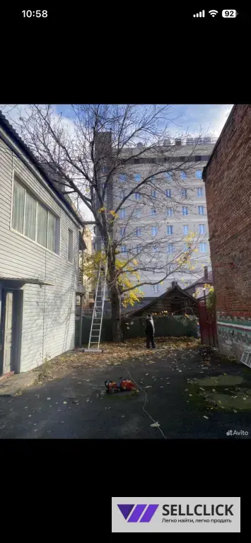 Расчистка участка Определение деревьев Покос травы