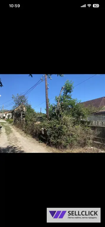 Расчистка участка Определение деревьев Покос травы