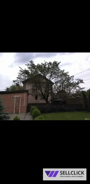 Расчистка участка Определение деревьев Покос травы