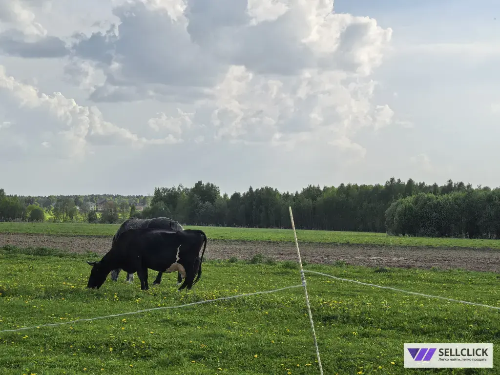 Дом 78.5 м², участок 7.1 сот.