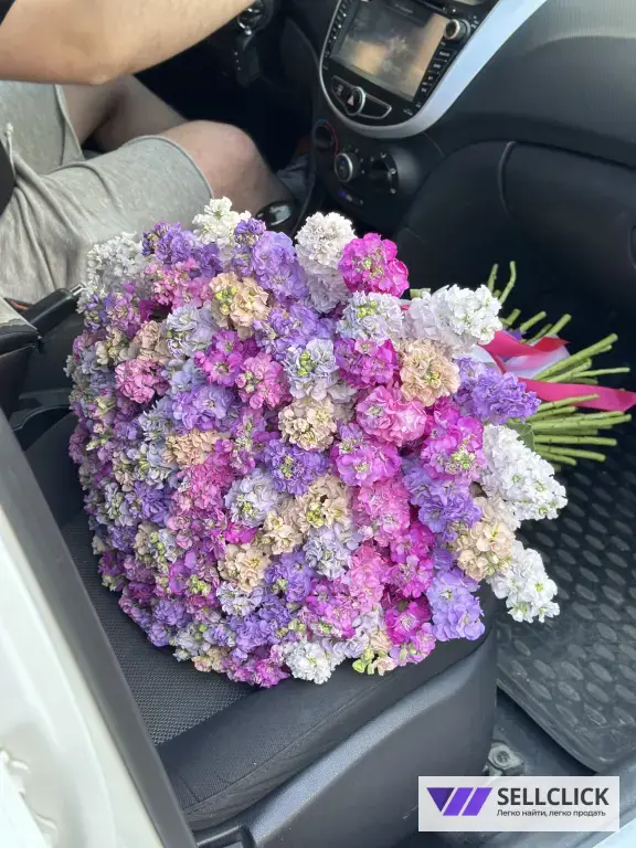 Букет Маттиолы