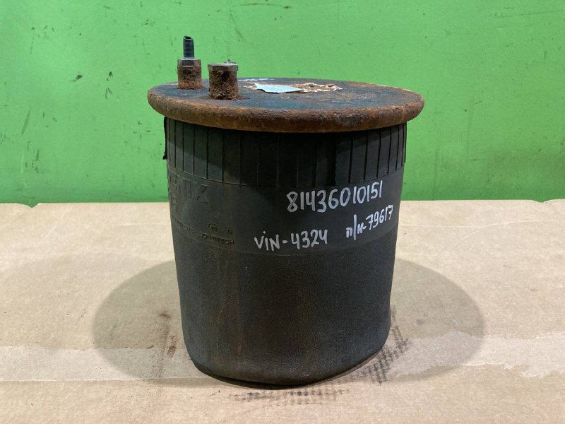 4882N1P01 пневмоподушка MAN TGA