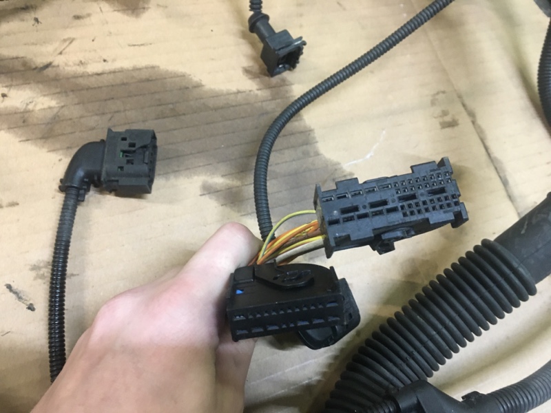 Проводка двигателя мотора, моторная коса N52 на BMW X3 E83 / BMW Х3 Е83 2004-2010г.\nОригинал.\nС двигателя N52B25A N52 2.5 бензин.\nВ отличном состоянии. Без дефектов. Все фишки целые.\nКонтрактная запчасть из Японии. Отправим в регионы ТК.