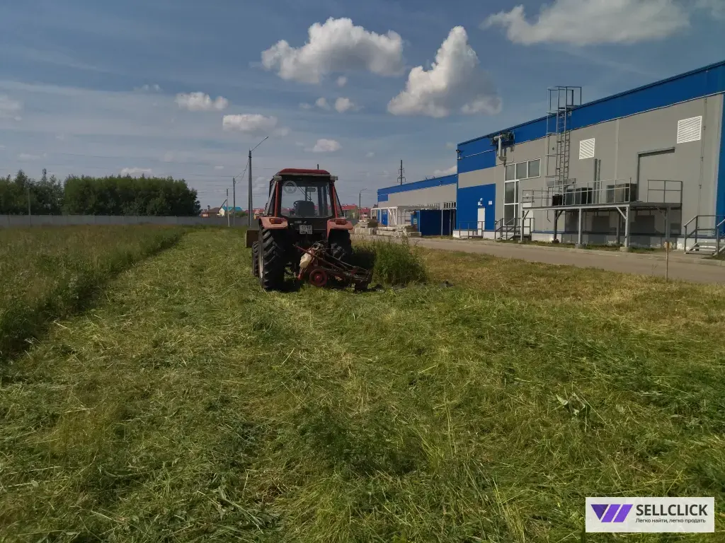 покос травы и борщевика трактором