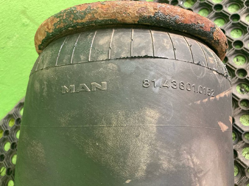 4882N1P01 пневмоподушка MAN TGA