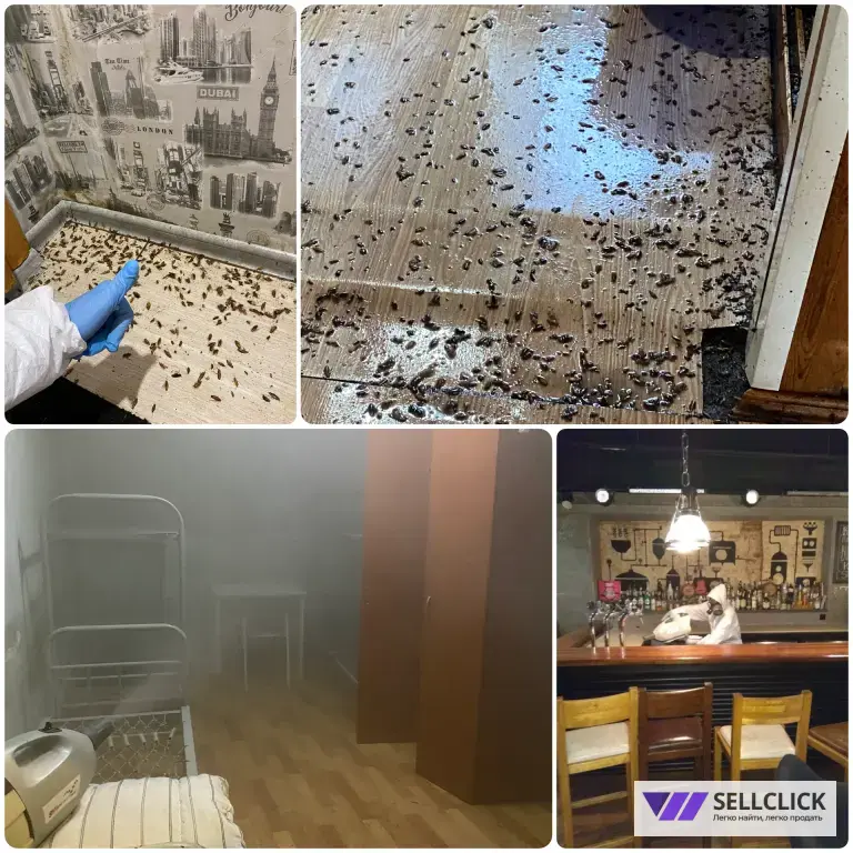 уничтожение тараканов, клопов, ос,муравьёв,клещей,