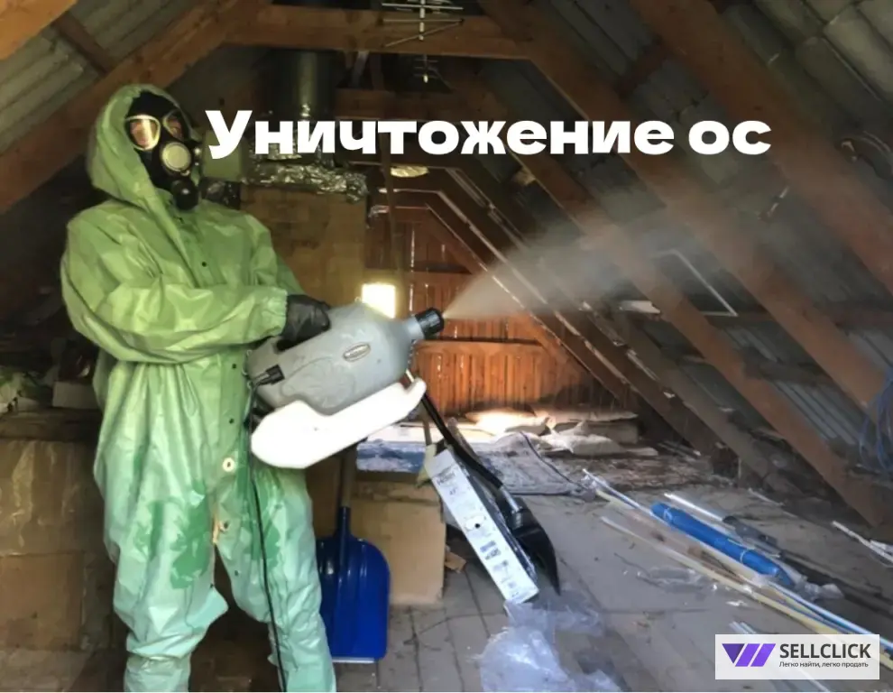 уничтожение тараканов, клопов, ос,муравьёв,клещей,