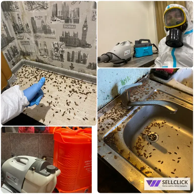 уничтожение тараканов, клопов, ос,муравьёв,клещей,