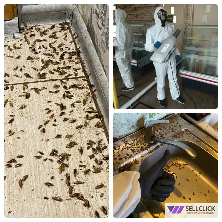 уничтожение тараканов, клопов, ос,муравьёв,клещей,