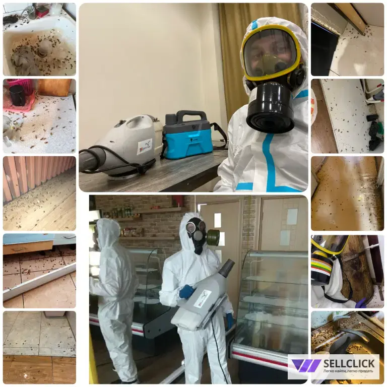 уничтожение тараканов, клопов, ос,муравьёв,клещей,