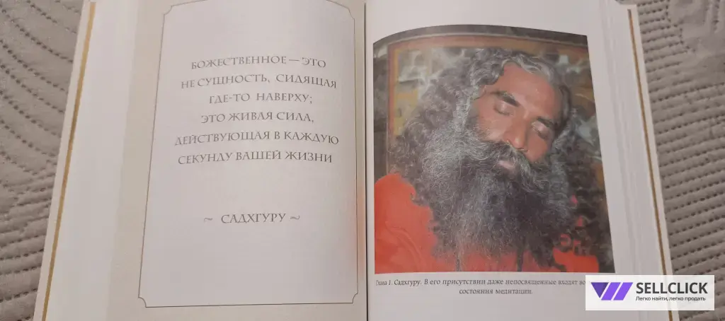 Садхгуру Размышления мистика.