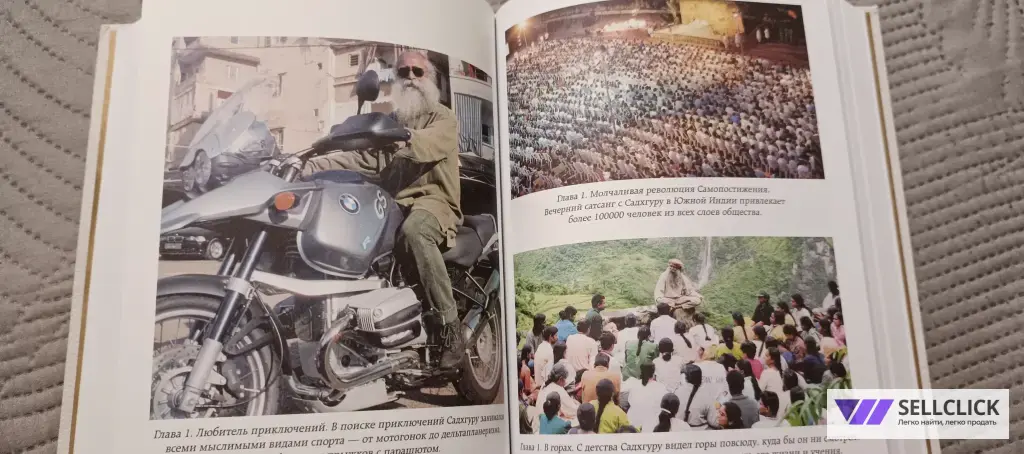 Садхгуру Размышления мистика.