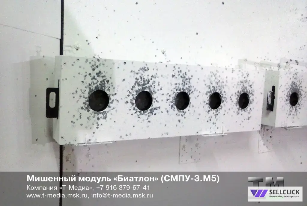 Мишенный модуль «Биатлон» (СМПУ-3.М5)