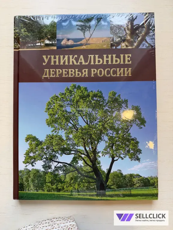 Книга «Уникальные деревья России»
