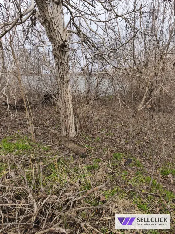 Поселения (ИЖС) 5.82 сот., Агент