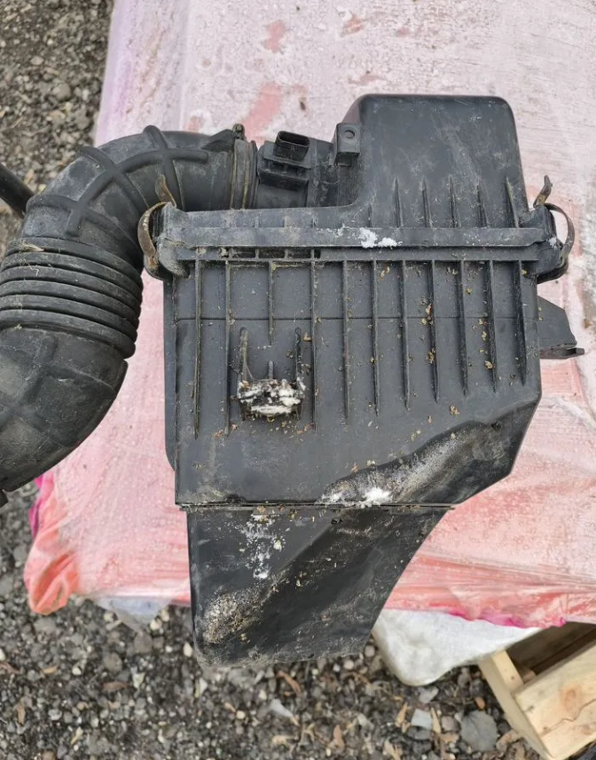 Корпус воздушного фильтра для grand starex H1