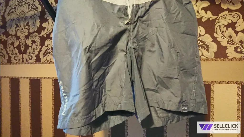 Шорты мужс Salomon