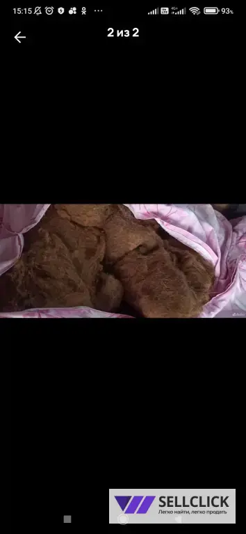 Шерсть верблюда, 5кг