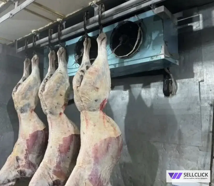 забой КРС и Баранов