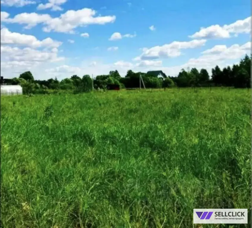 Поселения (ИЖС) 12 сот., Собственник