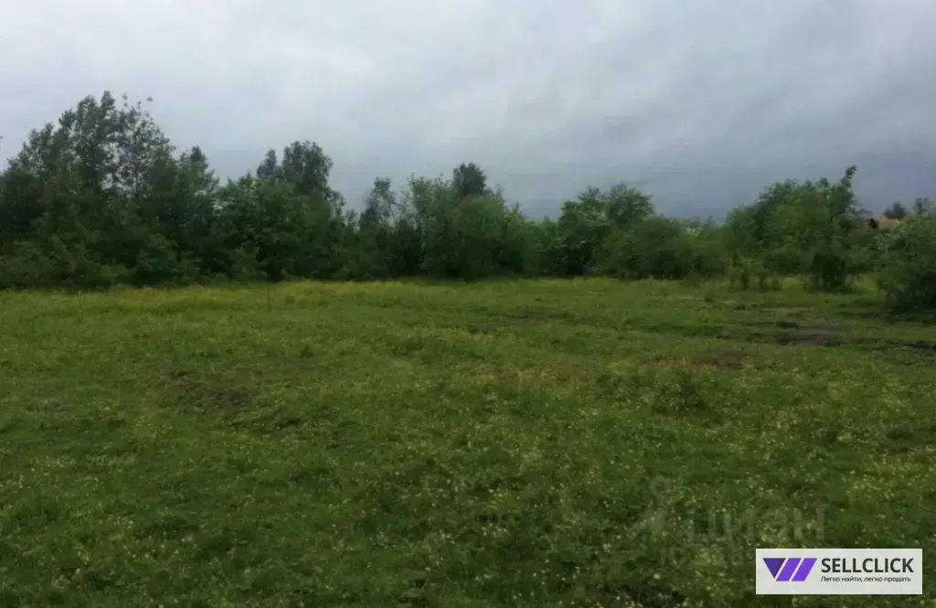 Поселения (ИЖС) 12 сот., Собственник