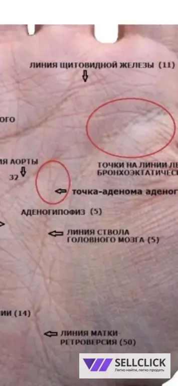 Хиромант. Гадание по руке. Узнайте ваше будущее.