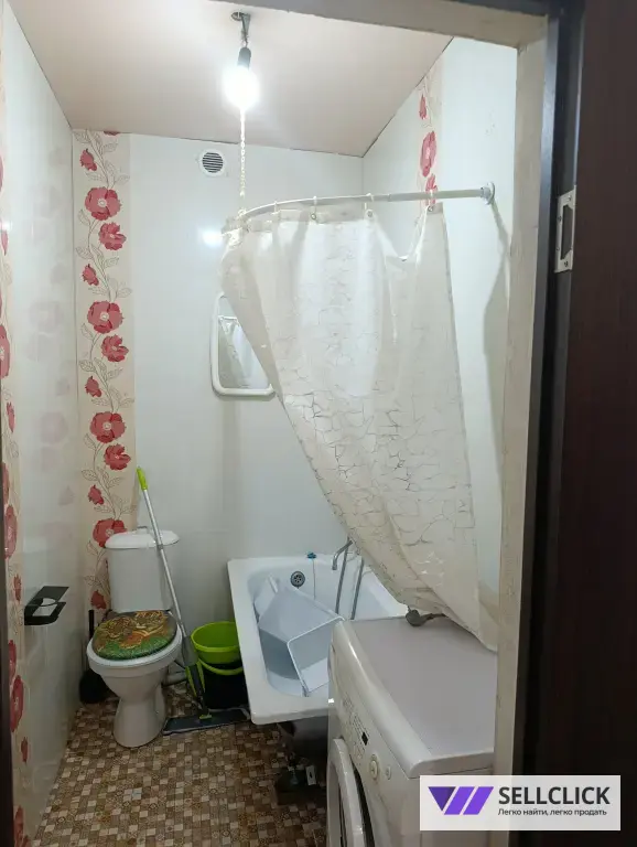 сдаю студию