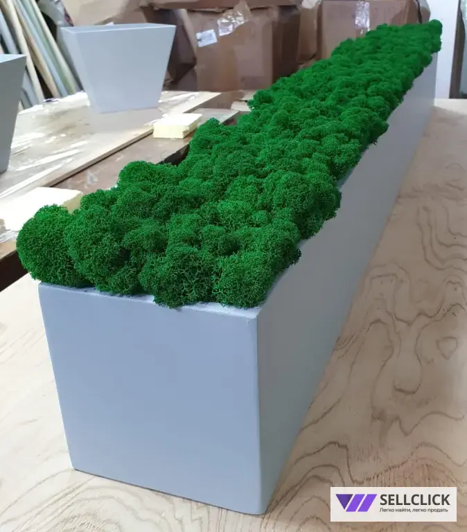 Панно из стабилизированного мха