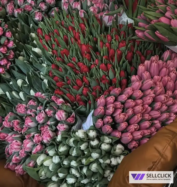 ЦВЕТЫ БУКЕТЫ ДОСТАВКА