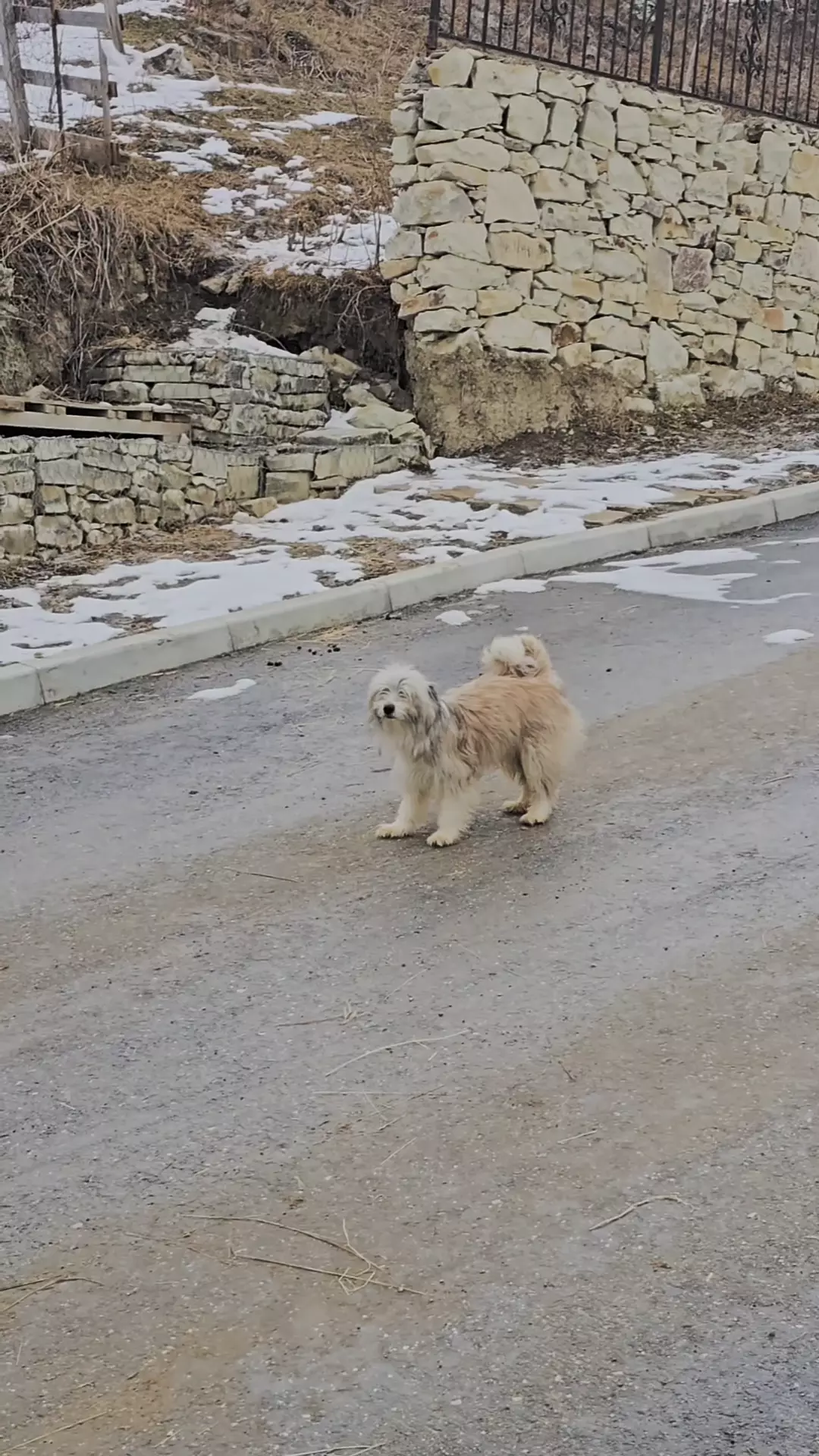 Туры по Дагестану и Чечне